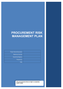 Risk Management Plan Template