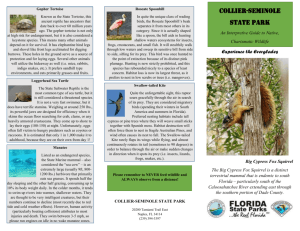Collier Critters Brochure