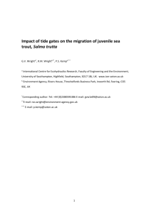 Impact of tide gates on the migration of juvenile sea trout, Salmo trutta