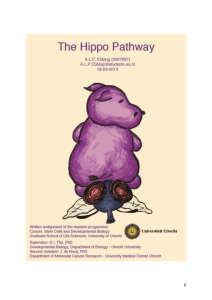 Chapter 3. Regulators of the Hippo pathway core components