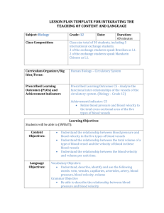 lesson plan template for integrating the teaching of