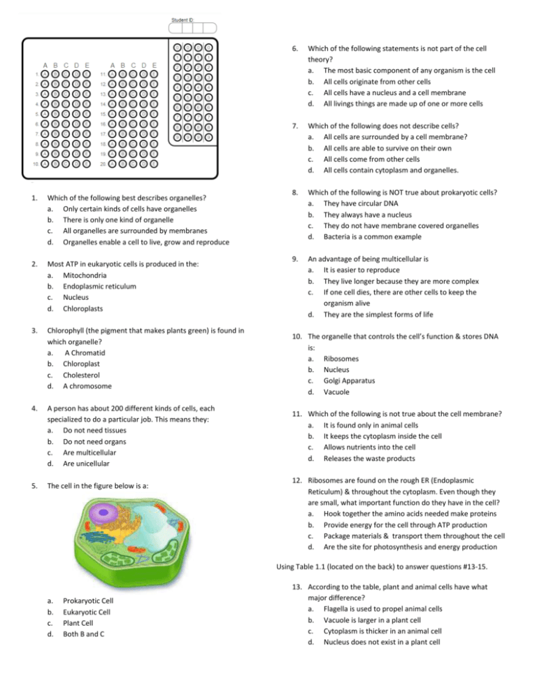 which-of-the-following-best-describes-organelles-only-certain-kinds