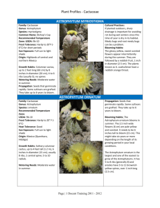 Plant Profiles - Cactaceae
