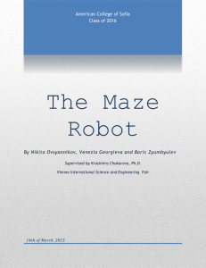 The Maze Robot