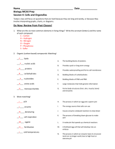 Cells and Organelles Review – Answers