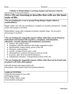 Cells Teacher Notes Final Common Assessment 2015