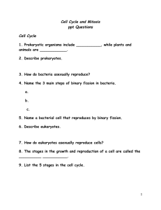 Cell Cycle and Mitosis ppt Questions Cell Cycle 1. Prokaryotic