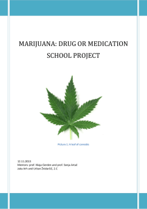 MARIJUANA: DRUG OR MEDICATION