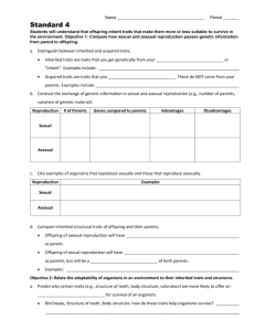 Standard 4 Review Worksheet