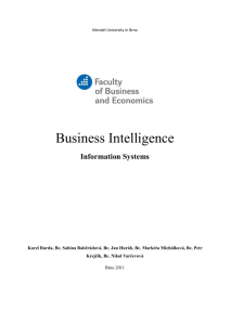 Business Intelligence