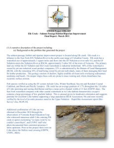 Salmon Passage/Habitat/Riparian Improvement Final Report