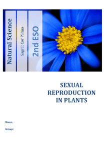 SEXUAL REPRODUCTION IN PLANTS