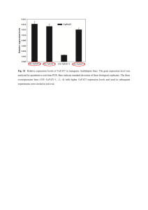 Fig. S1 Relative expression levels of VaPAT1 in transgenic