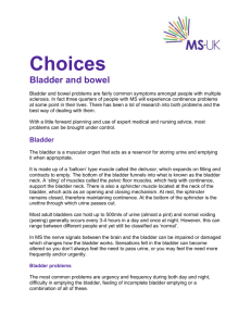 Choices Bladder and bowel - MS-UK