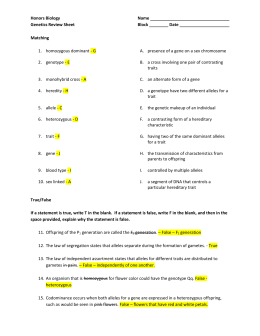 meiosis lab report