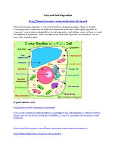 Cells and their Organelles