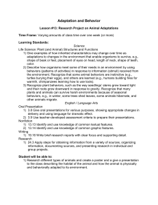 Lesson #13 - Center for Learning in Action