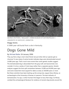 Dogs Gone Mild - Home All Things Canid.org