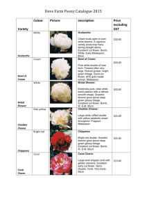 Dovefarm Peony Catalogue 2013