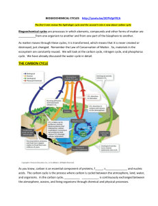 the carbon cycle