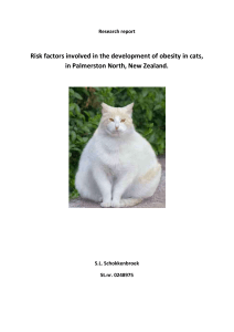 Cat Obesity Study