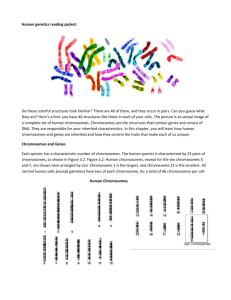 Human genetics reading packet: Do these colorful structures look