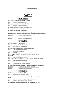 Cattle Results 2015