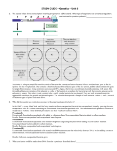 STUDY GUIDE – Genetics – Unit 6