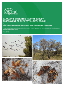 Carnaby`s cockatoo Habitat Survey Assessment of the Perth