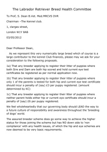 To Prof Dean, Chair KC - Labrador Breed Council