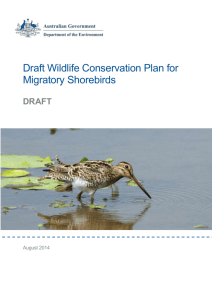 Draft Wildlife Conservation Plan for Migratory Shorebirds (DOCX