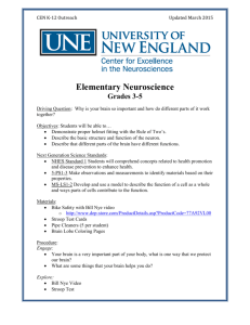 Elementary Neuroscience Grades 3-5