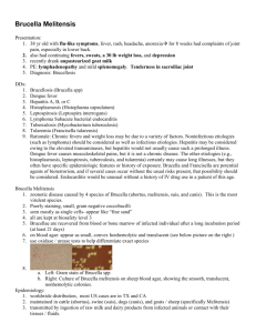 Micro Case 86--Brucella Melitensis