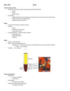 BIOL 2304 Blood The Circulatory System Anatomy – enclosed