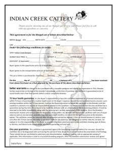 Kitten Contract - Indian Creek Bengals