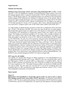 MTT assay for hZNF-134 and scrambled siRNA treatment