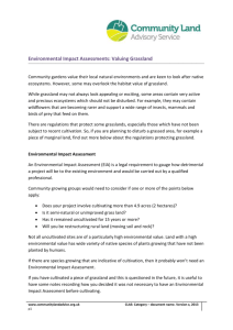 Environmental Impact Assessments: Valuing Grassland