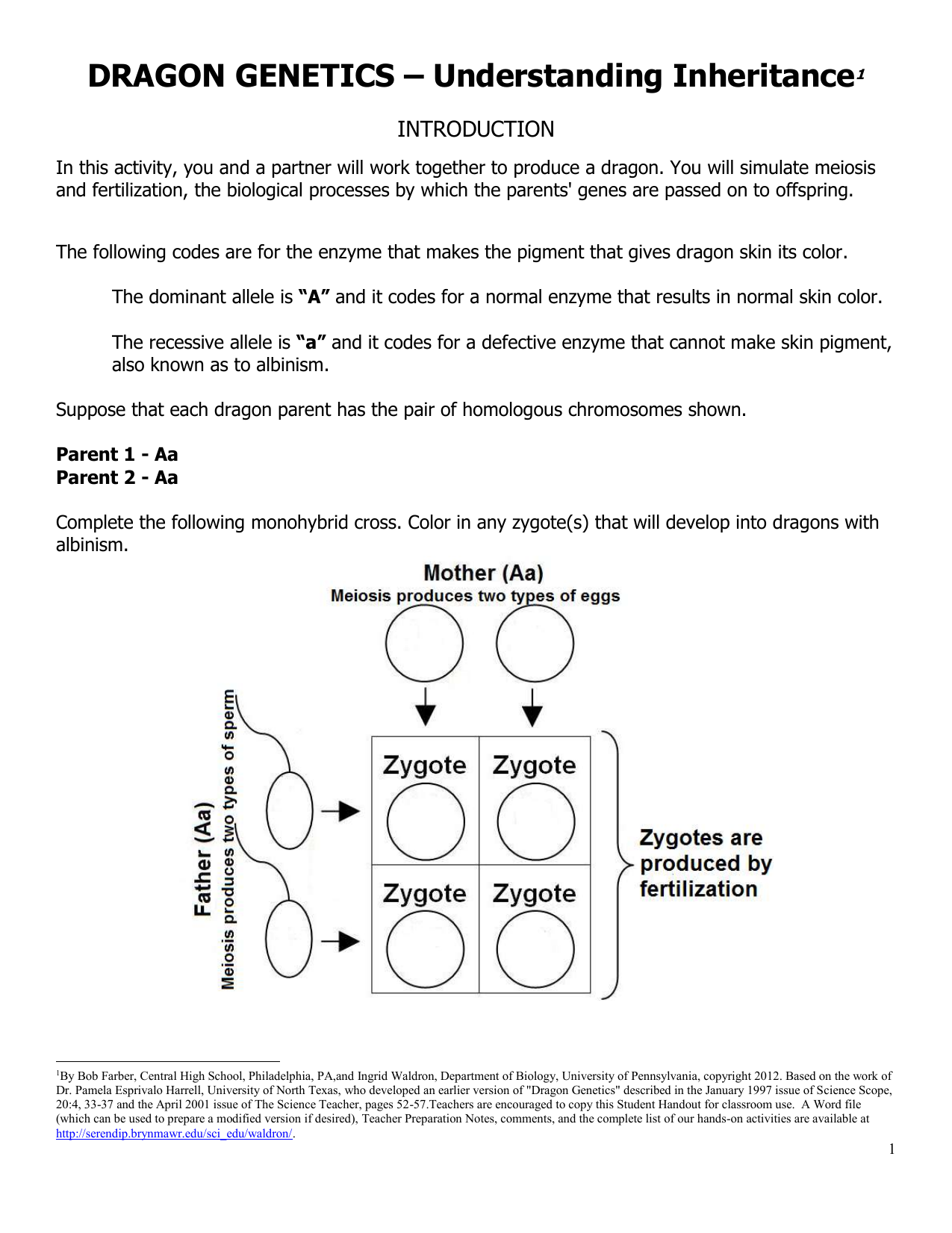 DRAGON GENETICS Understanding Inheritance 1