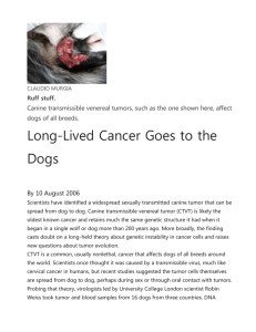 Long-Lived Cancer Goes to the Dogs