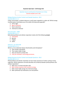 Keystone Quia Quiz—Cell Energy Unit Question Source and