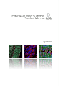 Innate lymphoid cells in the intestines
