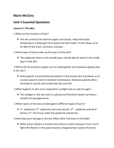 Unit Five Essential Questions