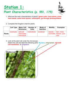 Plant Survey Lab Answer Key 1011