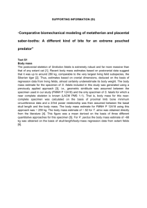 Comparative biomechanical modeling of metatherian and