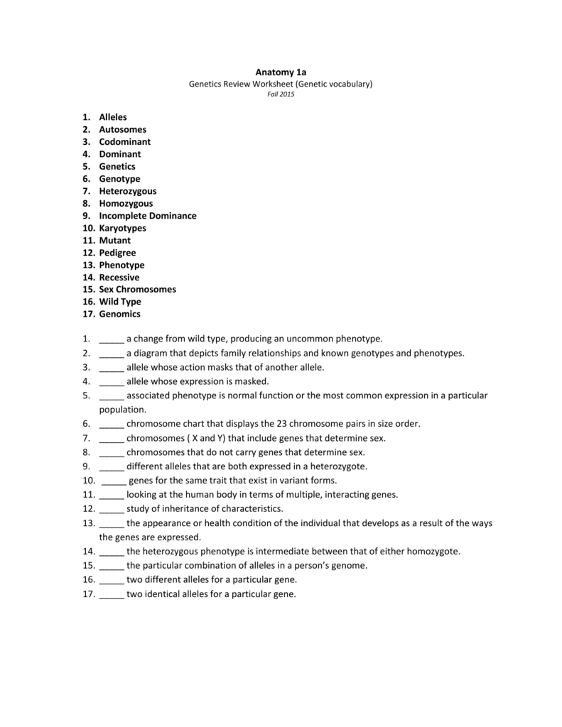 DIAGRAM] Introduction To Genetics Vocabulary Review Labeling With Meiosis Worksheet Vocabulary Answers