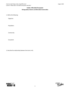 Student Packet: Inside A Microbial Ecosystem