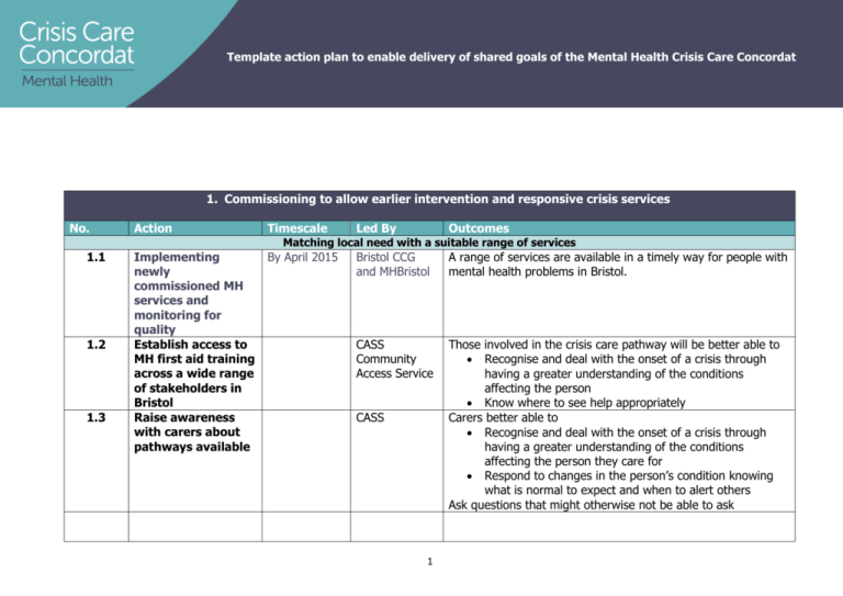 this action plan Mental Health Crisis Care Concordat