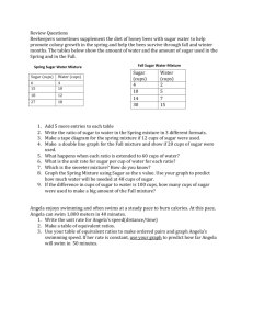 Extra review questions for ratios
