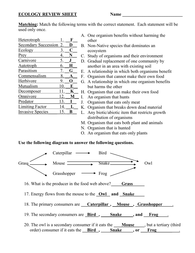 Secondary succession. - Hartland High School Within Ecological Succession Worksheet High School