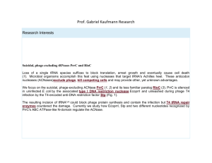 Prof. Gabriel Kaufmann Research Research Interests Suicidal